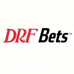 DRF Bets