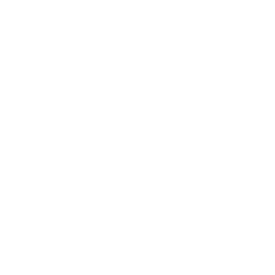 Syn Racing