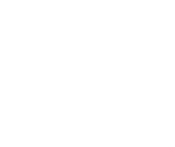 Ogio