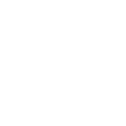 DLM.NL