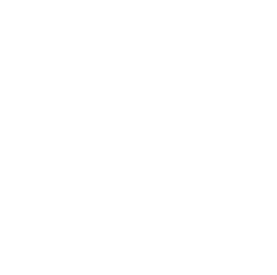 Yorkshire Rose